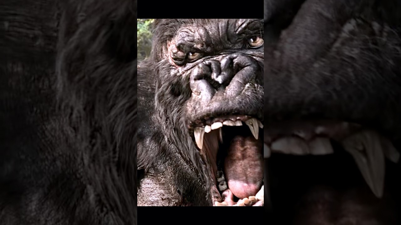 Kong’s EPIC 3 vs 1 Dino Fight Scene! (King Kong 2005)