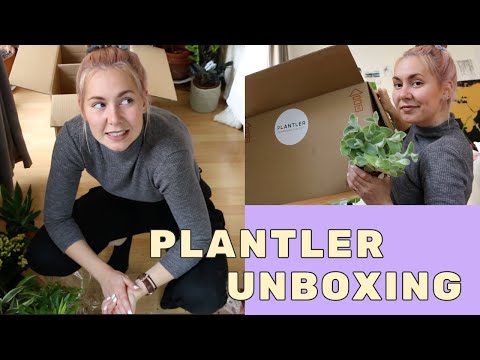PLANTLER Green Misfits Box unboxing | Grüne Quetschbox