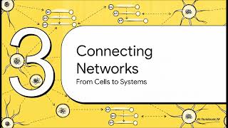 Demystifying Neural Networks
