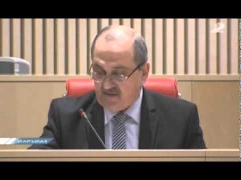 მალხაზ წერეთელი პარლამენტის პლენარულ სხდომაზე