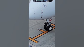 JAL A350 Perfect Stop Under VDGS | Precision Nose Gear Alignment