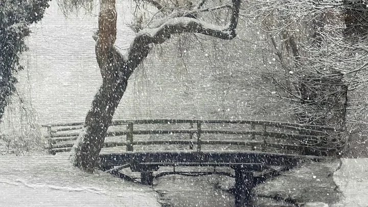 Peaceful Relaxing Instrumental  Music, Beautiful N...