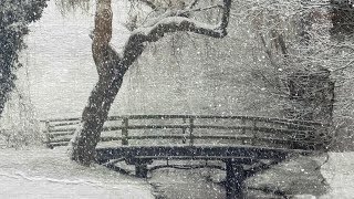 Peaceful Relaxing Instrumental  Music, Beautiful Nature Music 'Snowy Paths' by Tim Janis
