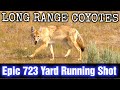 Long range coyotes epic 723 yard running shot 15 down 65 creedmoor