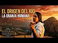 Gianpi - El Origen Del Río / La Granja Humana (Vídeo Oficial) Shot by Natural Diaphragm