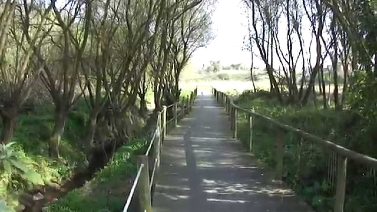 VILA NOVA DE GAIA ( MIRAMAR ):  riacho & natureza.