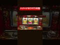 【毎日パチスロ生活】チャレンジ9日目！【ハナハナホウオウ天翔】