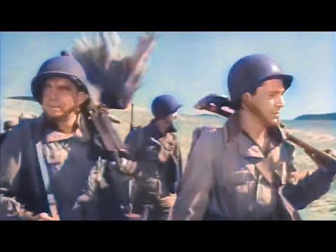 Salerno Beachhead 1945 War Film Directed By Lewis Milestone With Lloyd Bridges Dana Andrews