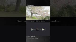 Color Grading #12 #shorts    #sony    #slog3    #davinciresolve    #colorgrading    #zve10ii