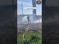 Los bomberos controlan rápidamente un incendio forestal en San Bernardino, California