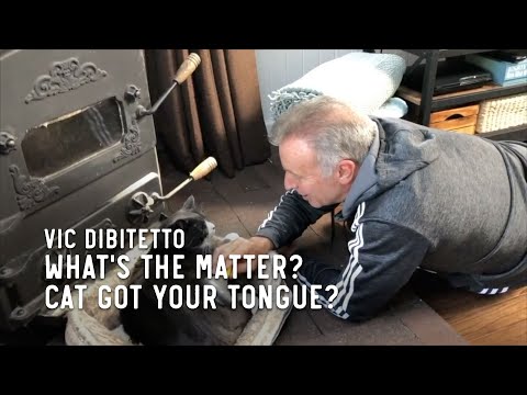 What's the matter? Cat got your tongue?