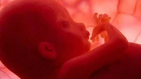 القارئ الشيخ عبدالرحمن السديس / سورة الإنسان