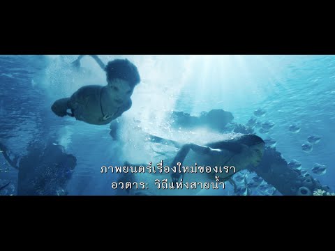 ผลสลากกินแบ่งรัฐบาล วันที่ 1 พย. 2567