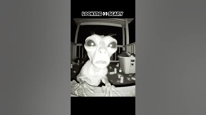 Skinwalker in Animals Disguise 🥸 #facts #animalfacts #scary #shortsfeed #ytshorts #cute thumbnail