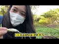 初めての収穫