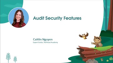 Audit Security Features | Salesforce Fundamentals