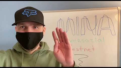 Mina Testworld Mini Vlog