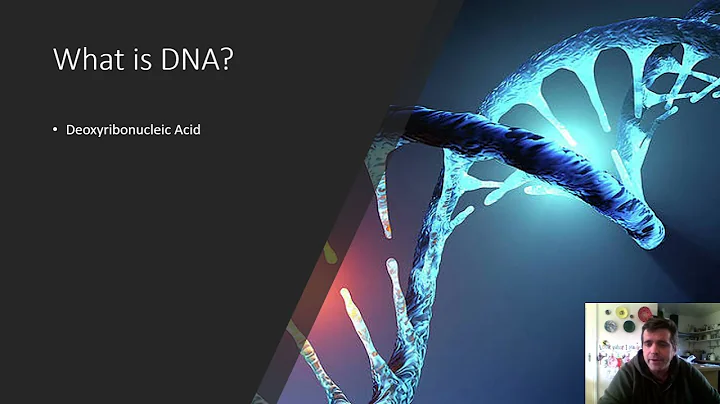 Celebrating National DNA Day - DayDayNews