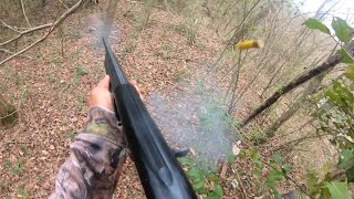 Virginia Rabbit Hunting 2024!! 11 Up 10 Down Multiple Kill Shots!! Epic Footage!!