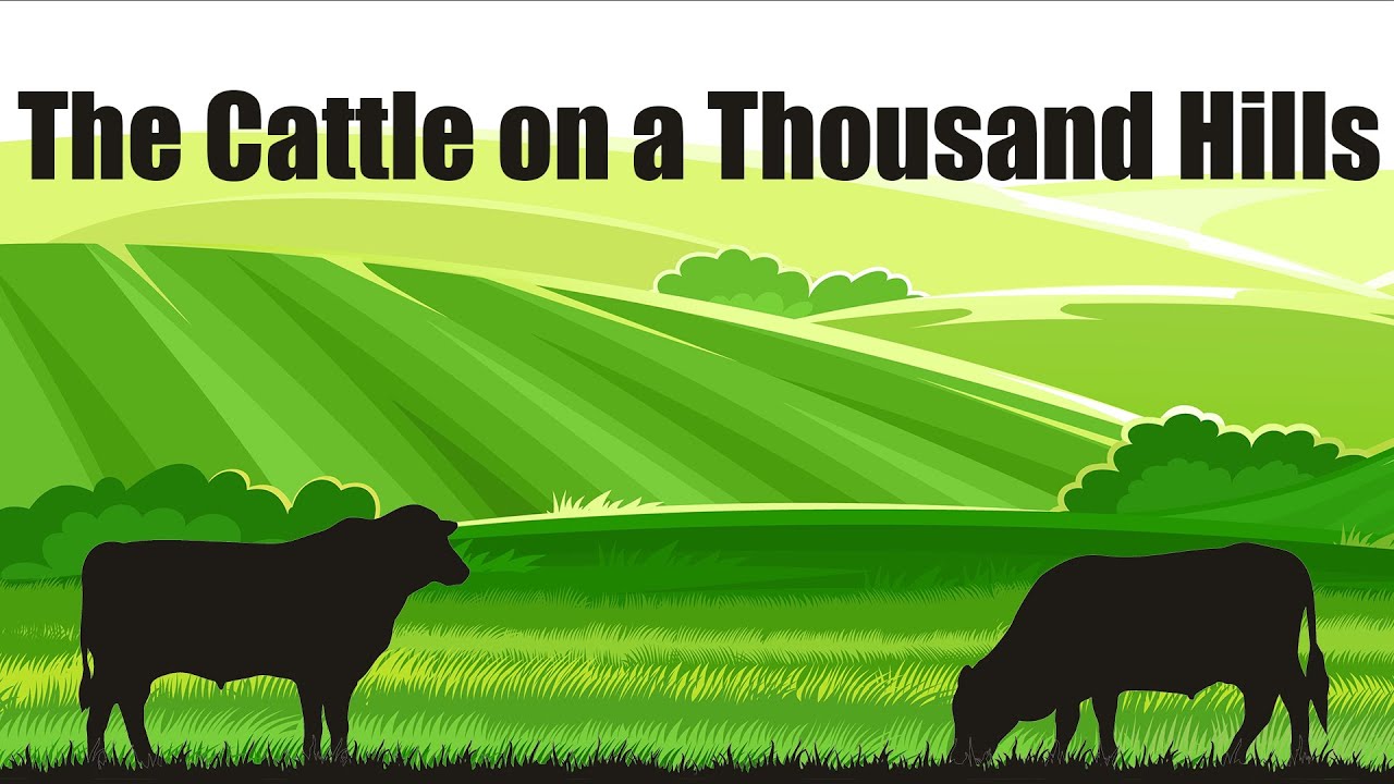 The cattle on a thousand hills youtube
