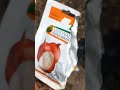 "Grow tomatoes & onions at home! 🇿🇼 " #urbanagriculture #onions #tomatoes #cityrootsharvest