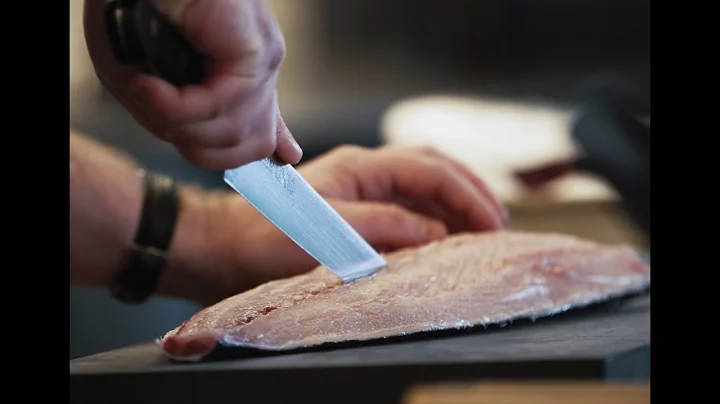 Masterclass in Motion: Kingfish at Automata with Clayton Wells