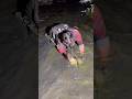 Nagpupumiglas ang malaking carpa #viralvideo #fishing #trending #shorts #amazing