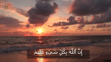 ايات بينات من سورة البقره .. تلاوه رائعه للقارئ اسامه ابوالعلا