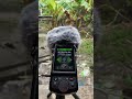 “Create a BTS audio recording session for the Pure Rain Vibes channel.”