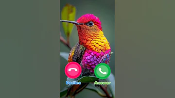 Ringtone Smartphone Music Ringtones 