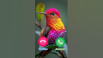 Thumbnail of #ringtone #smartphone #music #ringtones