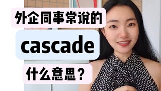 外企同事常说的英语cascade什么意思？【商务英语学习】