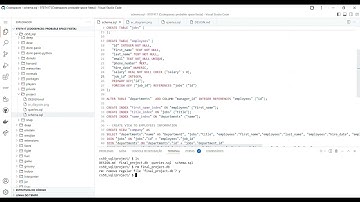 Final Project CS50’s Introduction to Databases with SQL