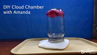 DIY Cloud Chamber