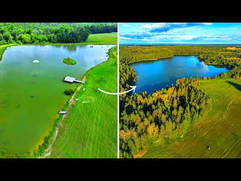 Removing Bass Out of the 5 Acre Pond (Big Problem)
