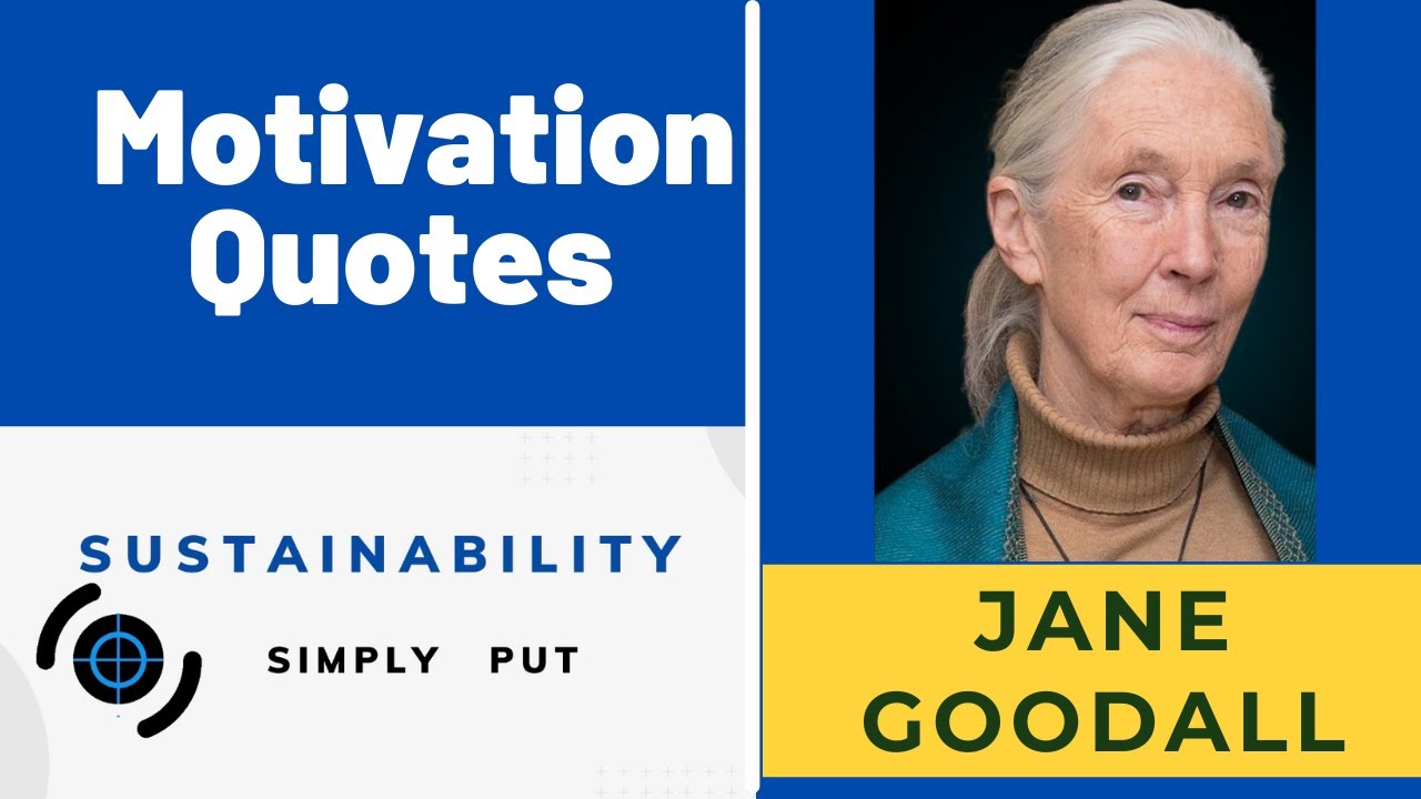 Jane Goodall Quotes Sustainability Inspiration Youtube Jane Goodall Quotes Sustainability Inspiration Youtube