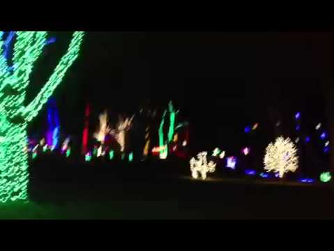 Winter Walk Of Lights At Meadowlark Botanical Gardens Youtube