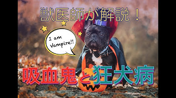 吸血鬼は実在したかも👻狂犬病のトリビアを獣医師が5分で解説します 🎃