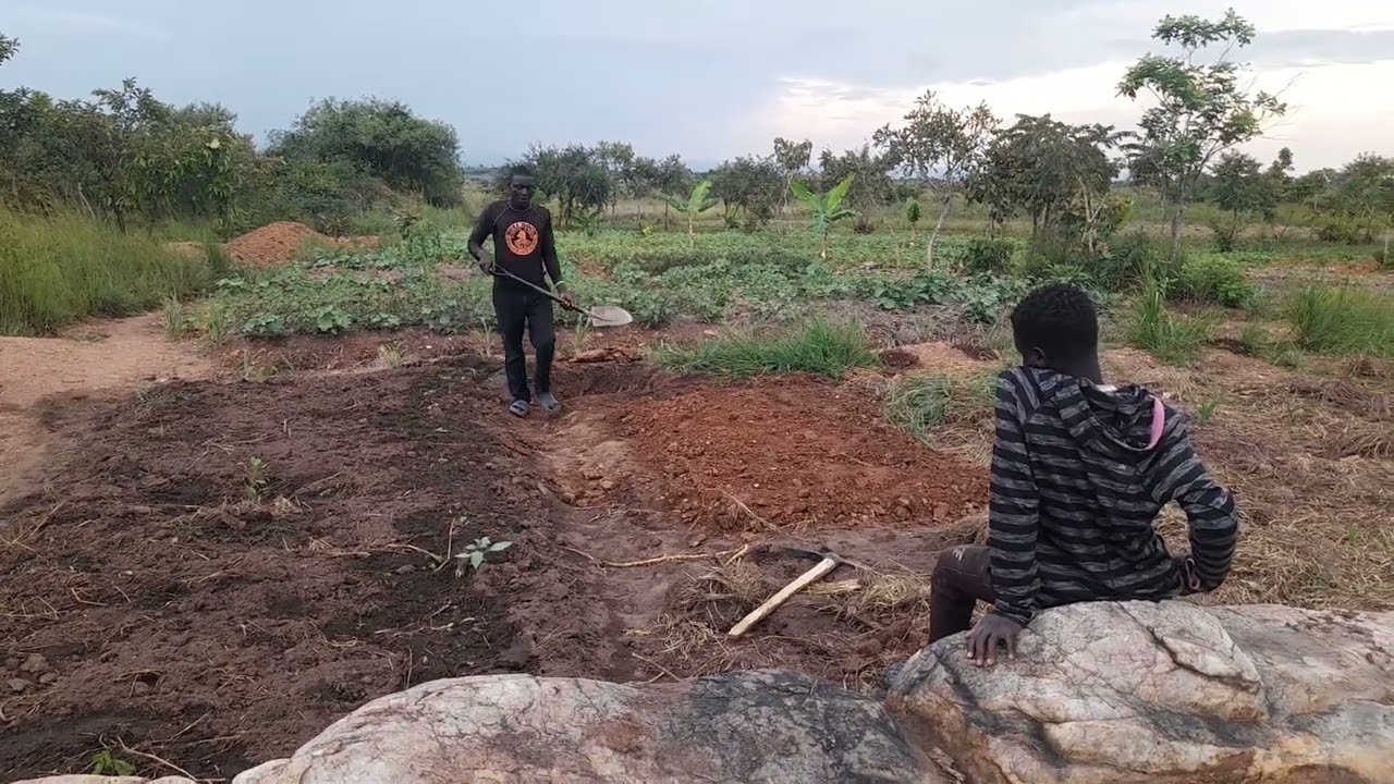 Ajolo in mid 2025, recovering from typhoid and malaria