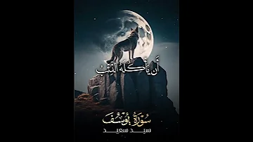 الشيخ السيد سعيد قال إني ليحزنني أن تذهبوا به سورة يوسف 