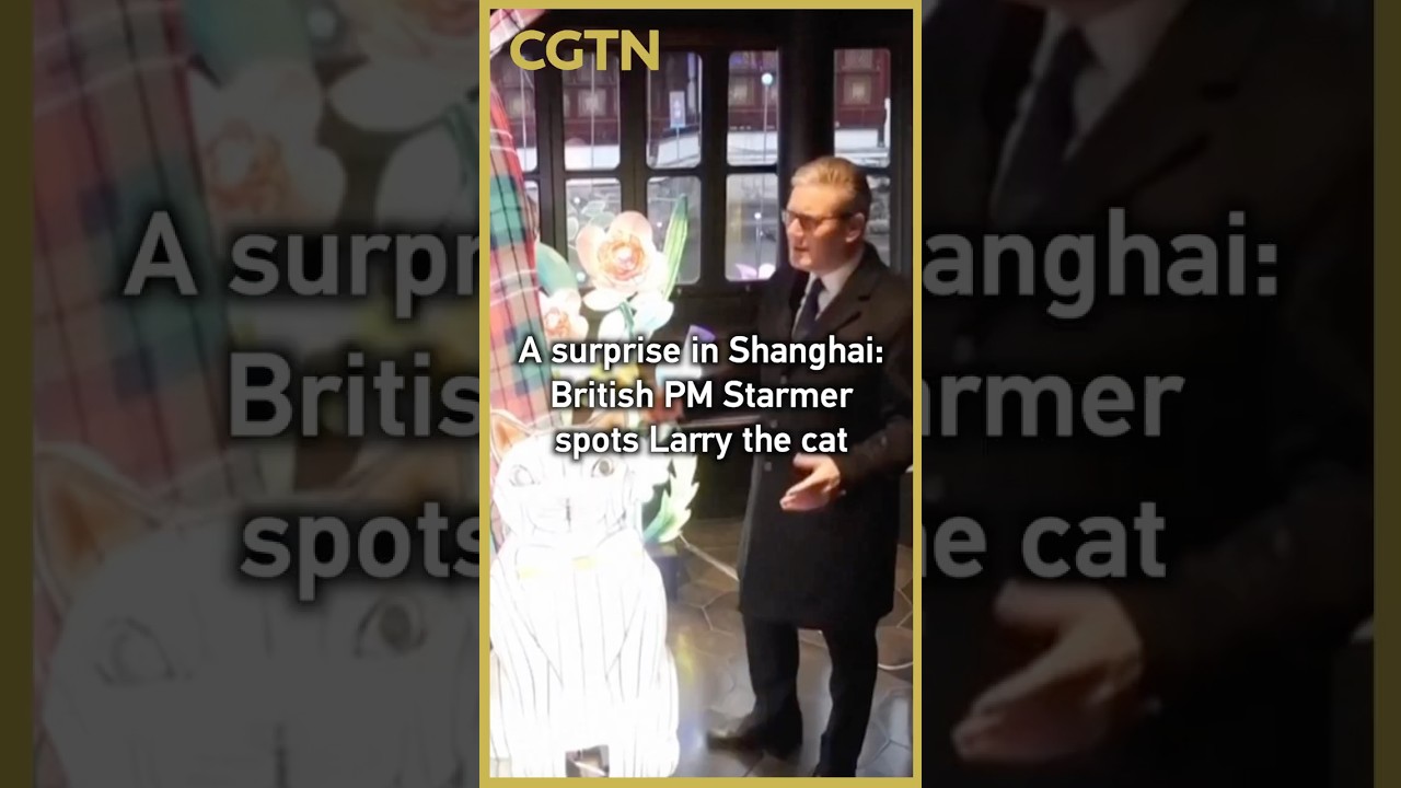 A surprise in Shanghai: British PM Starmer spots Larry the cat