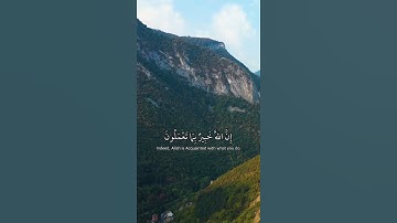 قرآن كريم أيات قصيرة | سعود شريم
