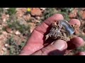WSR Wyoming Stone Ranger Blue Agate Field exploring a new location, rockhounding rock hunting