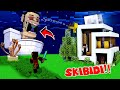 Skibidi toilet in my world