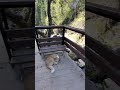 Третья речка