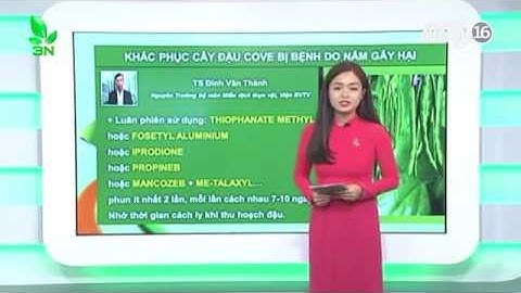 Khắc phục khi cây đậu cove bị bệnh do nấm gây hại