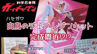 【世界に1枚】SEC 大鷲の健と白鳥のジュン FINALIST 科学忍者隊ガッチャマン】1/12『白鳥のジュン』プラモデル【ハセガワ