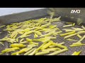 AMD French Fries/Potato Chips Sorting With Deep Learning AI Sorter Machine