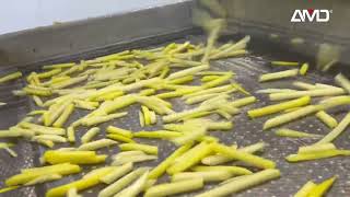 AMD French Fries/Potato Chips Sorting With Deep Learning AI Sorter Machine