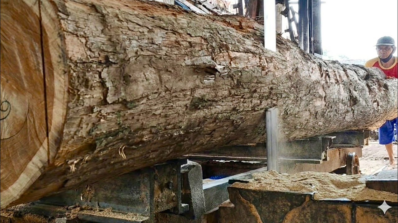 «За длинными, полыми кусками тикового дерева скрывается удивительная красота лесопилки».